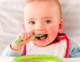 Guía completa de alimentación complementaria