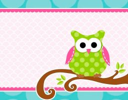 Web de Buho Boo