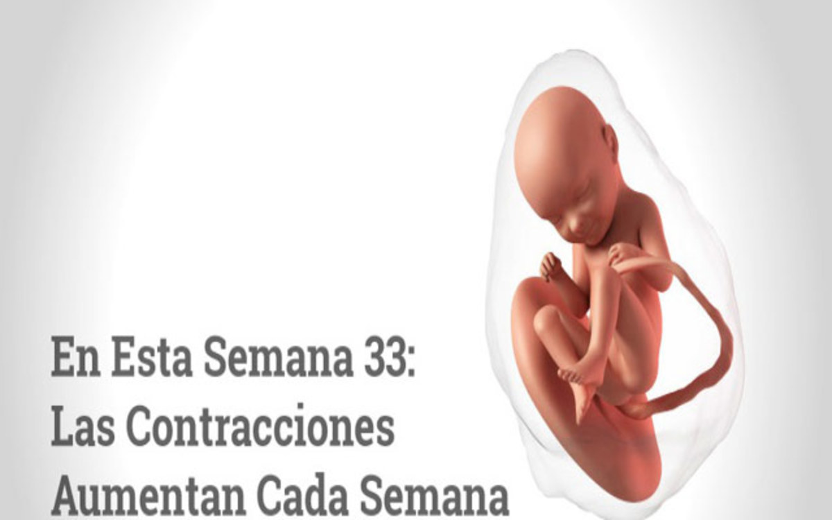 Semana 33 De Embarazo 