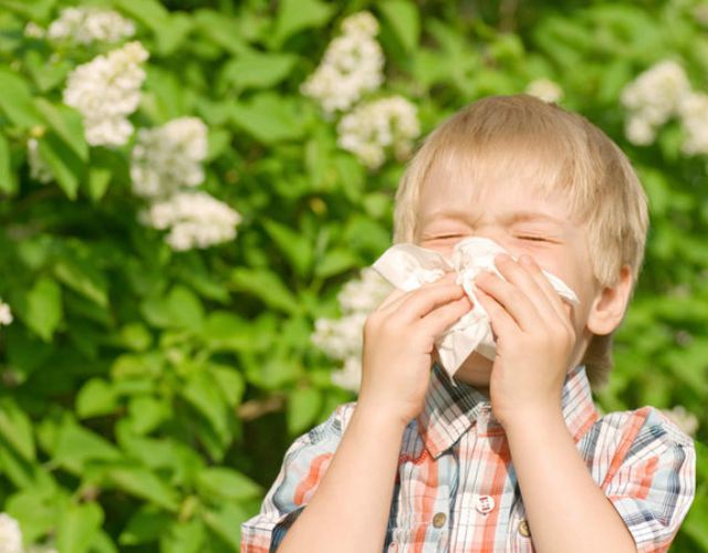 alergias en bebés