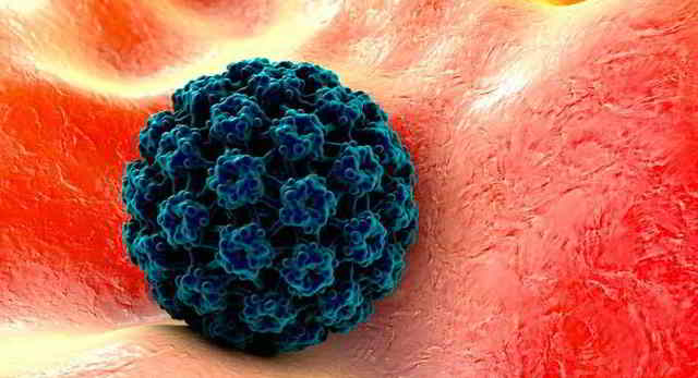 Vacuna HPV/VPH