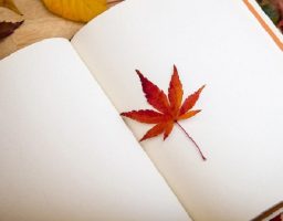 Libros de maternidad