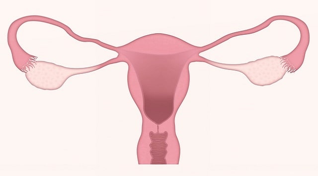 El dolor de ovarios en el tercer trimestre