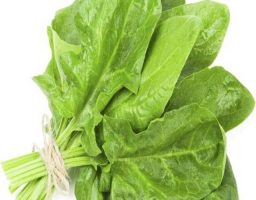 alimentos con ácido fólico
