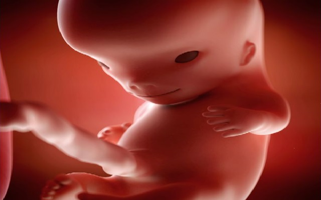 Tamaño del feto 