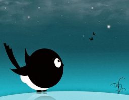 El pajarito perezoso