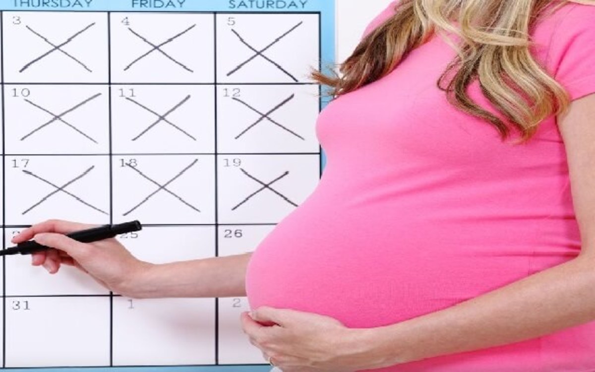 Cómo Calcular Semanas Meses Y Trimestres Del Embarazo 