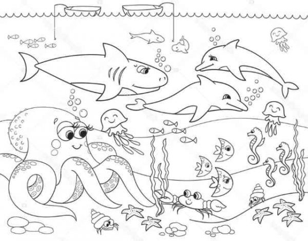 Dibujos de animales del mar para colorear