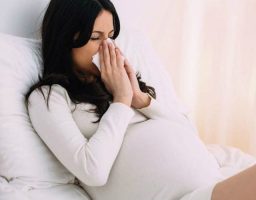 Antihistamínicos naturales para disminuir la alergia