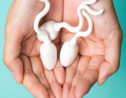 buenos alimentos para mejorar el semen