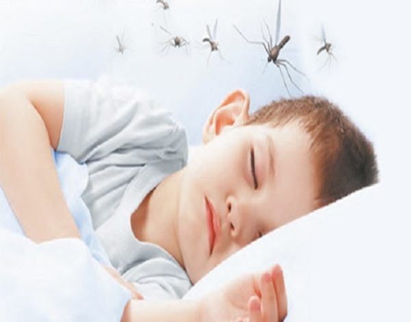 Zika en bebés