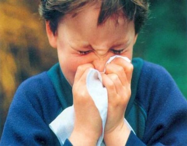 remedios sinusitis en niños