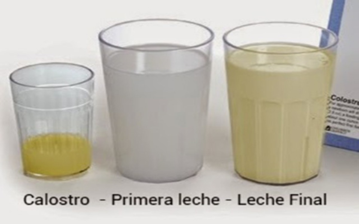 Los distintos colores de la leche materna