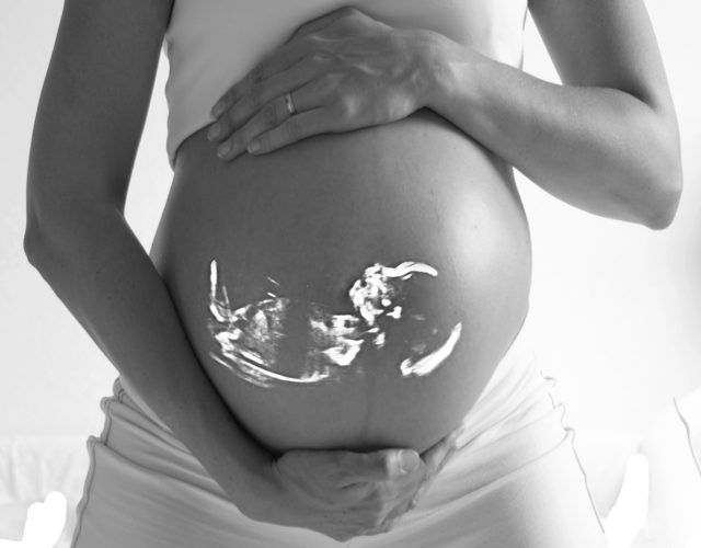 efecto de la contaminación durante el embarazo sobre los órganos del bebé