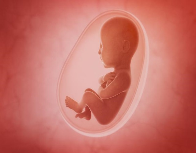 Causas del hipo fetal durante el embarazo