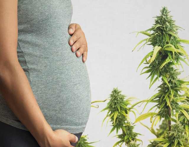 El uso de marihuana durante el embarazo